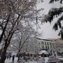 kozani.jpg